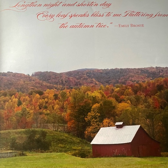 Victoria Magazine Collection. Five total. January-October 2012. - Picture 13 of 15